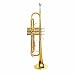 LANDTOM Entry-Level B-Tone Lacquer Gold Brass Trumpet For Adults/Beginner (B Flat)