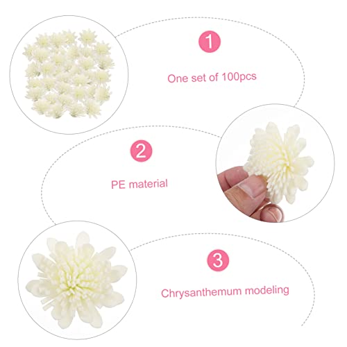 100 piezas flores para difusor aroma natural miniatura 4
