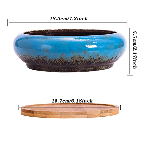 ARTKETTY Succulent Pots - Large Succulent Planters with Drainage, 7.3 Inch Ceramic Bonsai Pots with Bamboo Tray Set of 2, Shallow Cactus Flower Planter Bowl for Indoor by ARTKETTY - Image 3