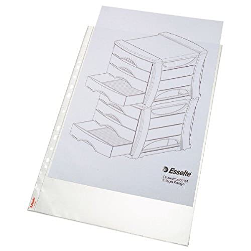 Esselte-Leitz 47181 - Paquete de 10 fundas transparentes Standard Plus para archivador A3