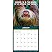 Willow Creek Press, Sloth Mode 2026 Wall Calendar, 12'' X 12'', 18-Month Calendar with Stapled Binding
