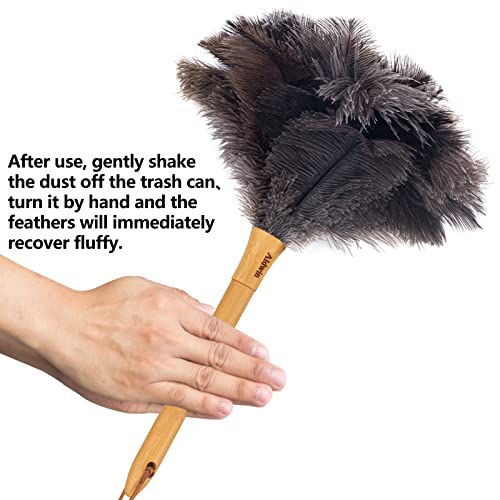 Aldwin Ostrich Feather Duster, 16 Inch Gray Ostrich Feathers With Wood Handle, Reusable And Washable Car Dusters, Eco-Friendly Cleaning Dusters For Home, Office And Kitchen #TOP4