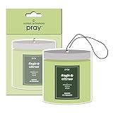 PRAY Hanging Paper Air Freshener - For Cars and Home - Pack of 12 (Sage&Citrus)
