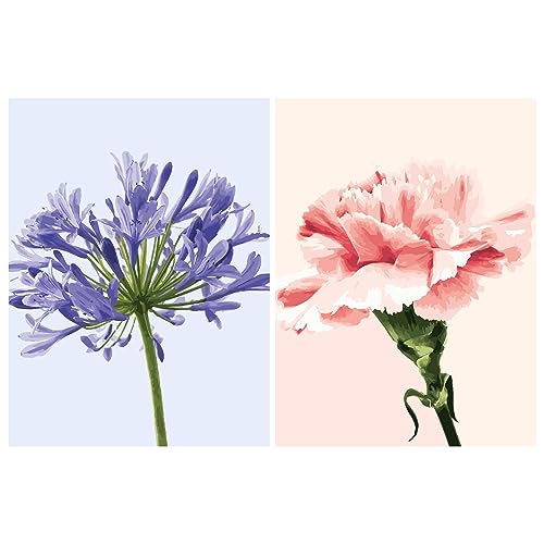 LikeyFactory - 12x16inch 2Pack Paint by Numbers Kits for Adults Kids on Rolled Canvas with Paintbrushes Color Acrylic DIY Premium Quality (Agapanthus & Carnation)