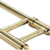 TSTS Tenor Trombone Musical Instrument Brass Instrument Beginner Trombone