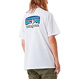 なぜパタゴニアのtシャツが人気 ダサい理由も解説 パタログ