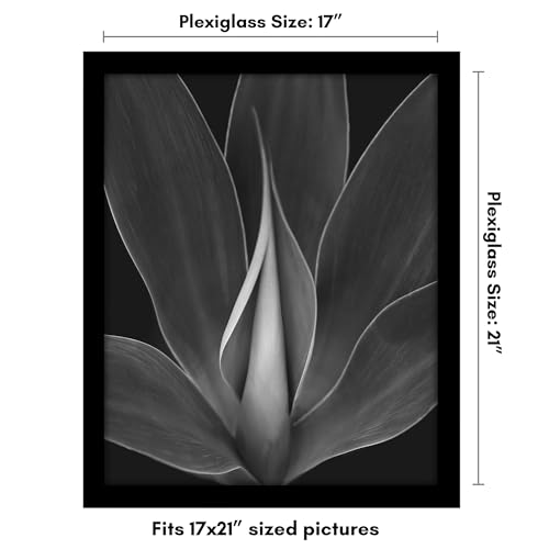 Americanflat 17x21 Picture Frame with Polished Plexiglass - Black Picture Frame - Wide Photo Frames Made of Engineered Wood for Vertical or Horizontal Wall Display - Epic Collection - Black by Americanflat - Image 2