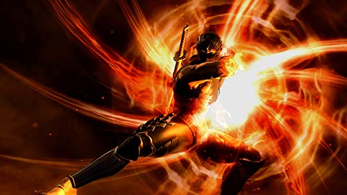 Ninja Gaiden Master Collection version japonaise multilingue pour console - 3