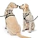 NESTROAD Hundegeschirr Mittelgroße Hunde Kariertes Beige, Größe M Anti Zieh Geschirr für Hunde Mittel, Halsumfang 33~43CM Brustumfang 43~64CM, Hundesicherheitsgurt Sicherheitsgeschirr Hund
