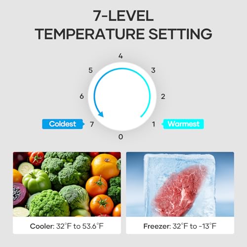 BODIOO Fridge with Freezer, 2.8 Cu.Ft, 7 Settings Temperature Adjustable, 2 Doors, Low Noise, Refrigerator for Living Room,Office,Kitchen and Apartment, Dark Gray