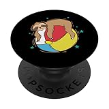 Paresseux sur un ballon de plage paresseux PopSockets PopGrip Interchangeable