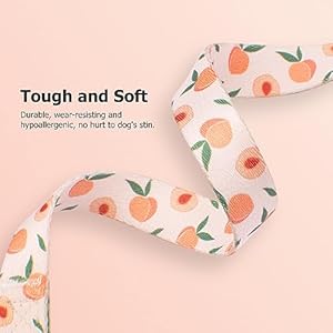 Handmade dog collar for small medium large dogswhite peach with pendant fall and winter fashions dog collarideal for girl dogs boy dogs large   cucciolini doodles