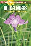 Wildflowers of the Desert Southwest