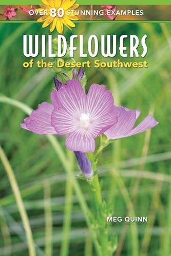 Wildflowers of the Desert Southwest