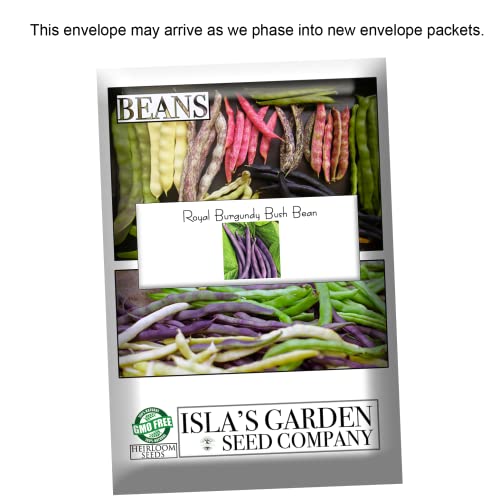 Royal Burgundy Bush Bean Seeds For Planting, 30 Heirloom Seeds Per Packet, (Isla's Garden Seeds), Non Gmo Seeds, Botanical Name: Phaseolus Vulgaris, Great Home Garden Gift #TOP7