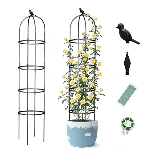 Obelisk Trellis for Garden Plants Climbing: 6ft Rustproof Metal Pipe