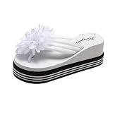 zehentrenner sale pantoletten zehentrenner damen zehentrenner braun zehentrenner fußbett zehentrenner keilabsatz zehentrenner weiß damen flip flop sandalen damen zehentrenner damen mit absatz zehensandalen mit fußbett glitzer zehentrenner silberne zehentrenner weisse flip flops damen zehentrenner damen sandalen pantoletten zehentrenner damenschuhe zehentrenner zehentrenner damen gold zehentrenner damen 42 zehentrenner mit perlen zehentrenner damen stoff