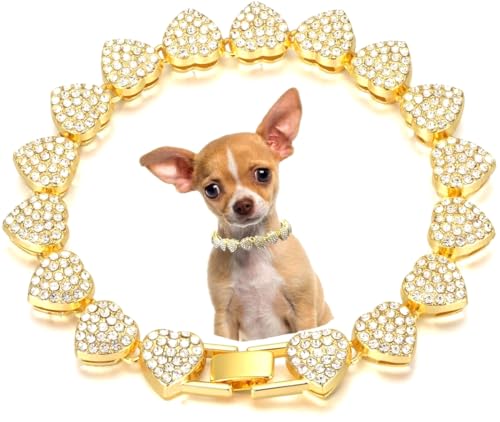 Pimaodog Collier chaîne cœur strass pour petit chien or 20 po
