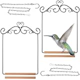 Hotop 2 Pcs Hummingbird Swings and Perches Metal Frame Bird Swing with 2 Replacement Wooden Dowel and 2 Hanging Chain for Outdoor Bird Feeders, Planters, Lanterns Ornaments(Black)