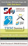 Oracle JDeveloper, IBM Domino Designer, DB2, XML Data Insert: Transmit XML via URL Connection