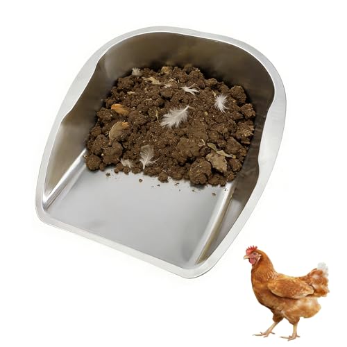 XUNYUQI Transfer-Focused Chicken Poop Scooper for Coop, Multi-Purpose Stainless Steel Hand Scoop for Transferring Manure, Chicken Sand, Litter, Bedding, Trash & Chicken Feed, Essential Coop Supplies