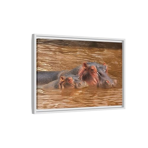 Tableau hippopotame marron 60x40 cadre blanc en toile pour salon chic