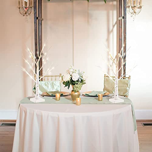 Hogardeck 2Ft 18Lt Led Lighted Birch Tree, Set Of 2 24 Inch White Money Artificial Tree For Christmas Decorations Indoor, Battery Powered Timer Party Home Wedding Mantle Table Top Centerpieces Decor #TOP2