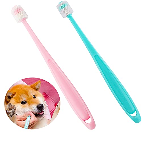 Brosses à dents à 360 degrés pour petit chien chat kit nettoyage