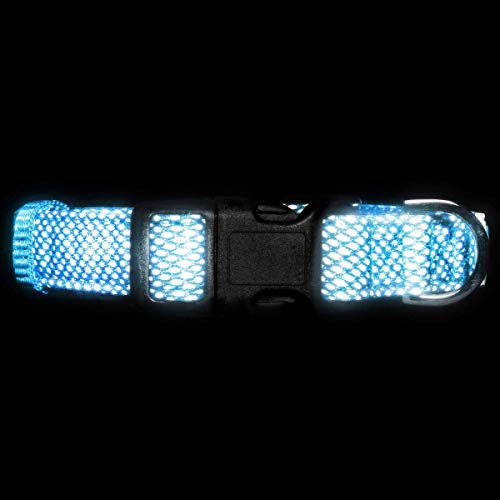 Embark Illuminate Reflective Dog Collar – Made with Reflective Material to Make Your Dog Collar Visible and Light at Night (Small, Blue) - Thumbnail 5