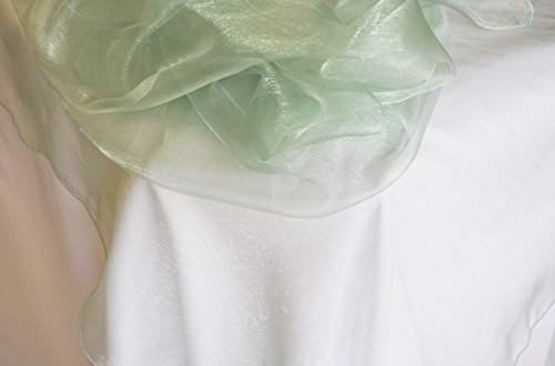 Wedding Linens Inc. 54" x 108" Rectangular Organza Sheer Table