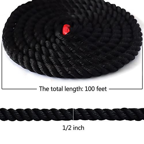 Black Twisted Polyester Arborist Rope (1/2 Inch X 100 Feet), Strong Tree Climbing Rope Bull Rope For Swing, Sailing, Camping, Pulling, Tree Work #TOP2
