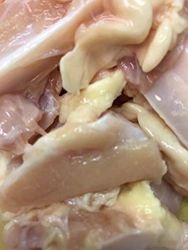 ₰Ȃ񂱂igtj(cartilage) 1kg i낪Eϓj@①i