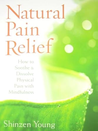 Natural Pain Relief – Shinzen Young