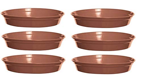 Set Of 6 Whitefurze Plastic Plant Pot Saucers 19cm Terracotta Colour Water Dish For 7 & 8 Inch Pot