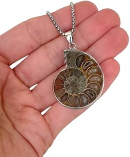 1pc. Ammonite Fossil Necklace - Ammonite Necklace For Men - Silver Necklace Men - Silver Ammonite Necklace - Ammonite Pendant - Fossil gift