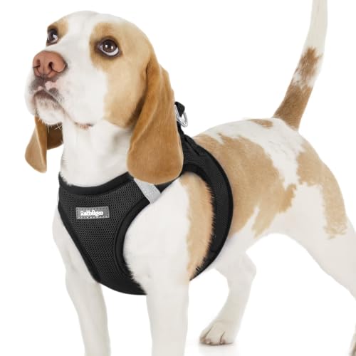 rabbitgoo Step-in Small Dog Harness, Puppy Vest for Small Breed Pet
