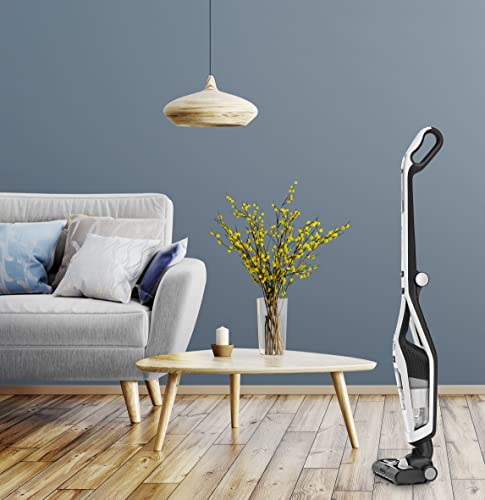 Rowenta Dual Force 2 en 1 RH6737 - Aspiradora 2 en 1 de mano y escoba eléctrica, cepillo motorizado con luces LED, batería 18 V, autonomía 45 min, sin cable, ligera y plegable, sin bolsa