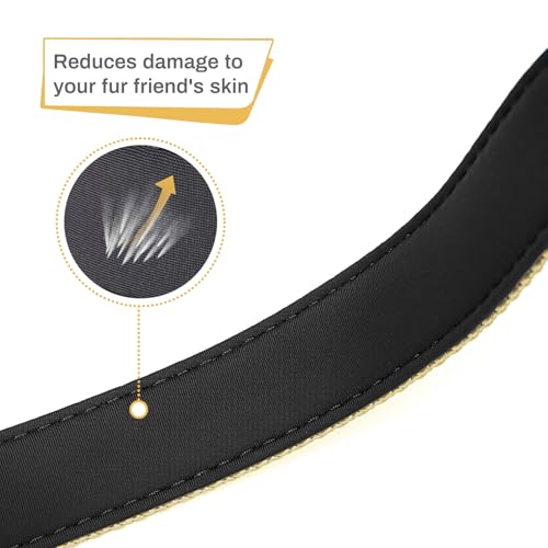 HEELE Hundehalsband, Hundehalsband aus Nylon, Reflektierend Halsband Hund mit Weich Neopren Gepolstert für Welpen Kleine Mittel Große Hunde Läng Einstellbereich 26-38cm, Sandbraun, S