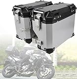 【Design di sicurezza】 Il sidecar per moto adotta un design antifurto, antipolvere e impermeabile, le doppie chiavi e le serrature di sicurezza possono proteggere gli oggetti all'interno del sidecar dal furto, la maniglia per il trasporto in lega di alluminio facilita il trasporto del sidecar della moto.