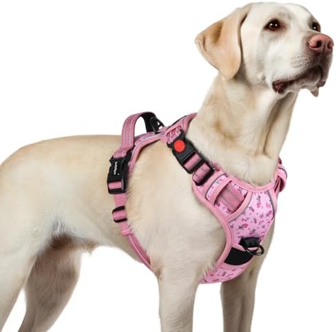 rabbitgoo Hundegeschirr Grosse Hunde Leichtes Anlegen, L, Blume Rosa | Anti Zug, Ohne Kopfdurchzug, Halsverschluss mit Sicherung, 2 D-Ringe, Weich Gepolstert, Reflektierend für Gas