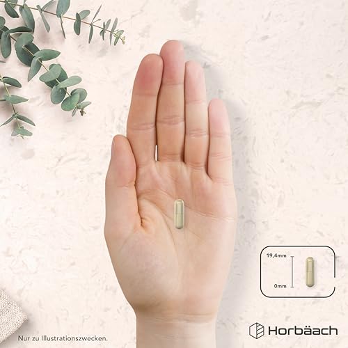 Rutin Steinklee Kapseln Hochdosiert Komplex | mit Mangan und Kupfer | 120 Vegane Kapseln | Horbaach