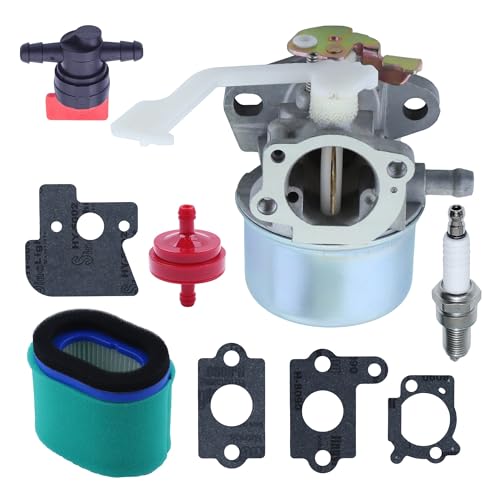 Kit filtre pour carburateur 698055 résout démarrage difficile moteur 121607 calage