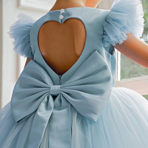 4-8Y Flower Girl Dress Puffy Fancy Tulle Heart Cutout Formal Holiday Gown for Wedding Pageant Party Birthday Princess4