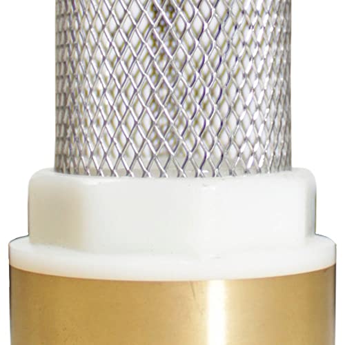 VALVULA FUNDO POCO ROSC METAL 3/4' RAYCO