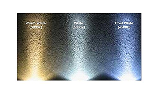 Best To Buy T4 G8 Bi-Pin Led Halogen Replacement Bulb, Under Counter Kitchen Lighting, Under-Cabinet Accent Puck Light Desk Lamp Landscape Lighting, 21W Equal, 6-Pack, Warm White #TOP5