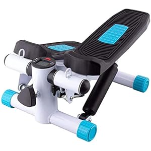 Mini Stepper, Stepping Machine Huishoudelijke Silent Twist Fitnessapparatuur met weerstandsbanden, beenbeklimmen Stepper voor Butt en Cardio Oefening