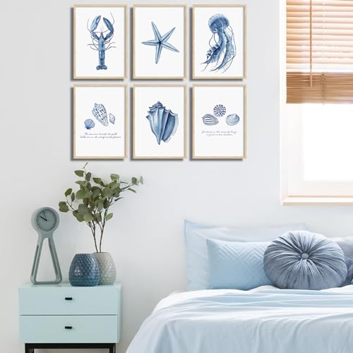 6 Pcs Blue Coastal Wall Art Watercolor Starfish Conch Jellyfish lobster Painting Cute Sea Life Poster Print for Modern Waterfront Themed Home Decoration Bathroom Room Decorations Unframed by VONFRAENIT - Used condition - Image 4