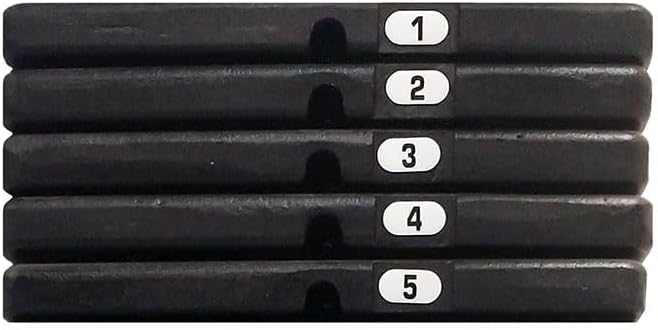 Body-Solid 50 Pound Weight Stack Add On Kit, Powerline Home Gym Machine Equipment, Cable Machine Add-On Weights Set Includes 5 Cast Iron Plates