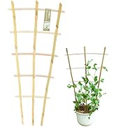 Amazon | Jollybower 竹垣 フェンス 高さ1.5M x 長さ2M 目隠し 屋外