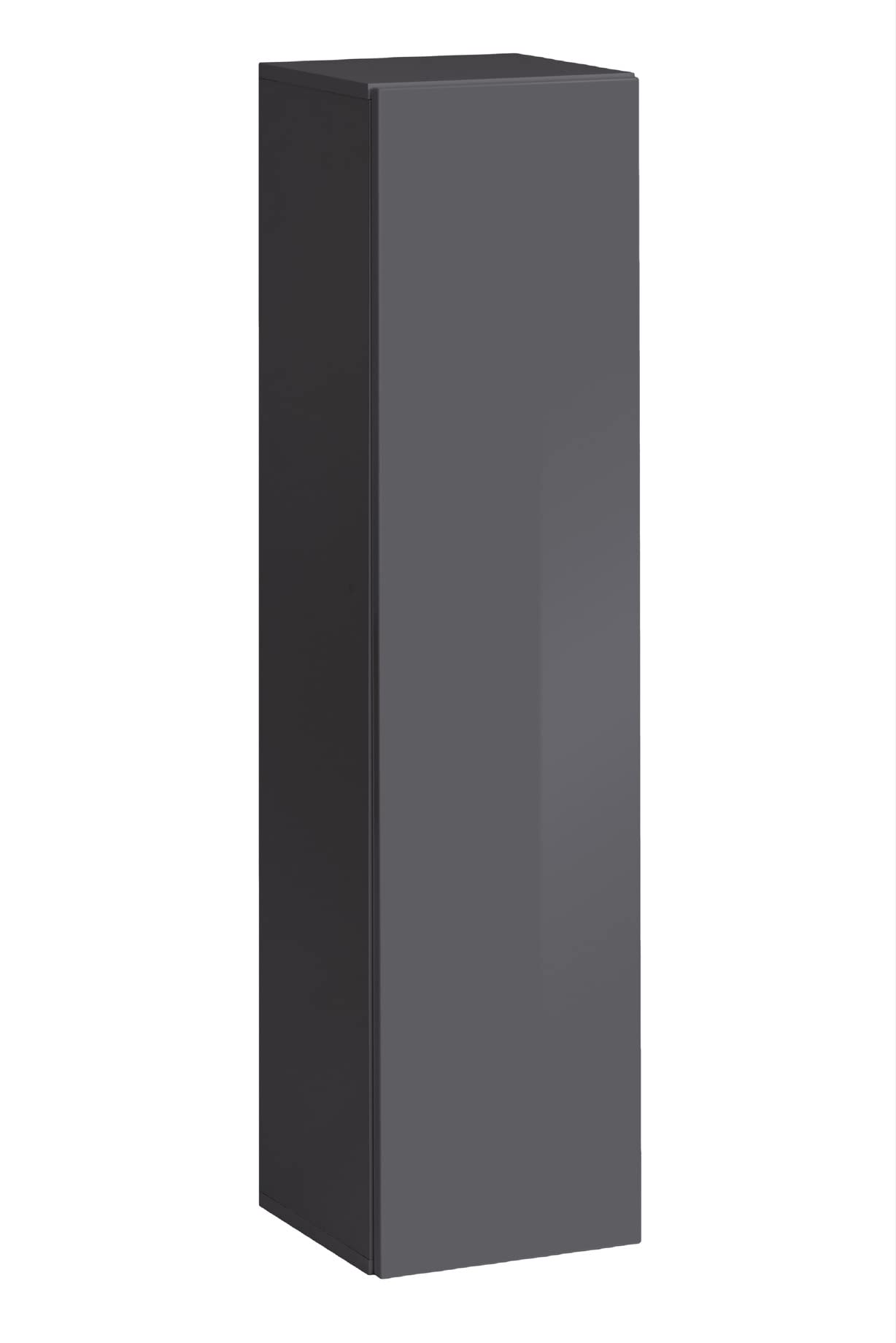 ASM Vitrina Vertical – Switch SW 2 – 30 cm x 30 cm x 120 cm – Grafito